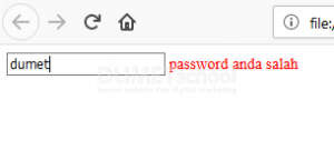 membuat fungsi password match dengan javascript 2