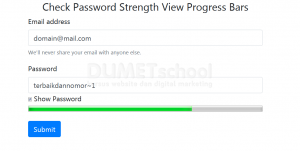Check-Password Strength View Progress Bars