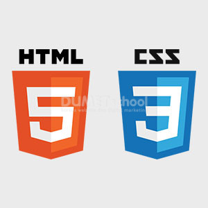 Apa Sih Perbedaan HTML dan CSS?